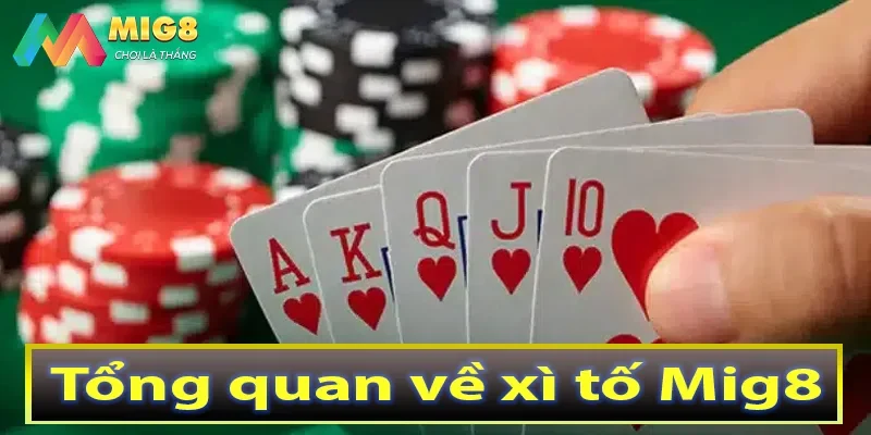 Tổng quan về xì tố Mig8