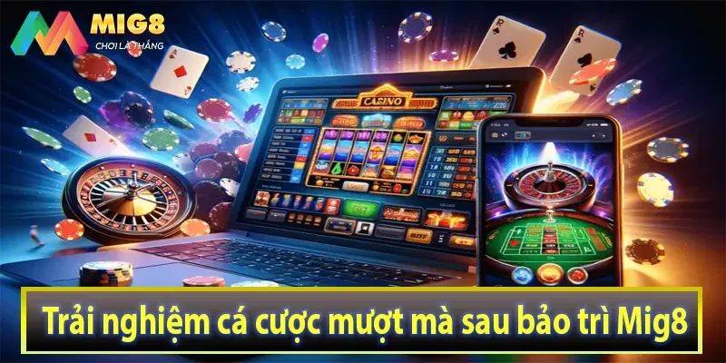 Trải nghiệm cá cược mượt mà sau bảo trì Mig8