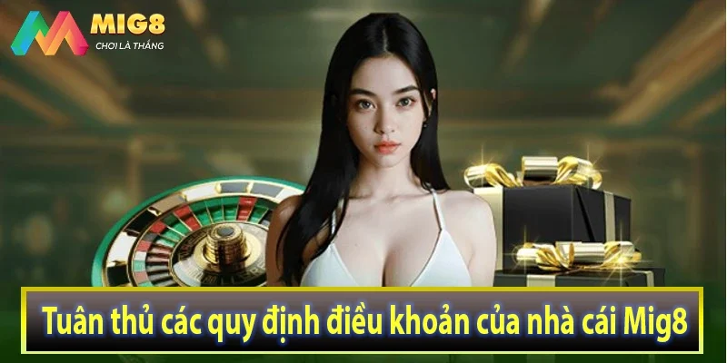 Tuân thủ các quy định điều khoản của nhà cái Mig8
