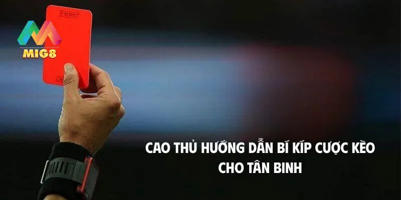 Cao thủ hướng dẫn bí kíp cược kèo cho tân binh