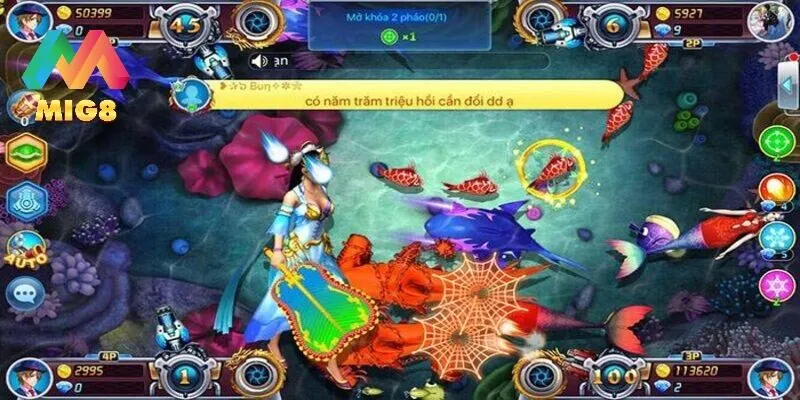 Hướng dẫn cách bắn cá cho người mới