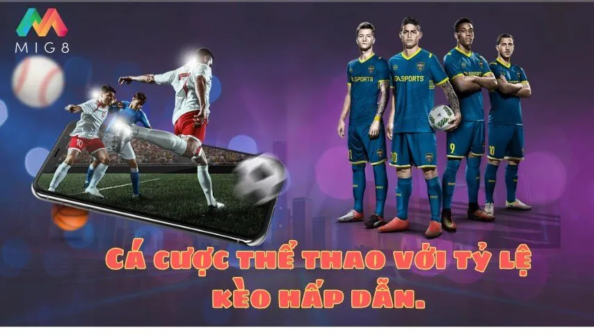 Cá cược thể thao với tỷ lệ kèo hấp dẫn