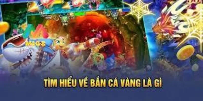 Tổng quan thông tin về bắn cá vàng